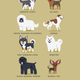 Illustration for article titled Adorable Drawings of Dog Breeds, Grouped By Their Place of Origin